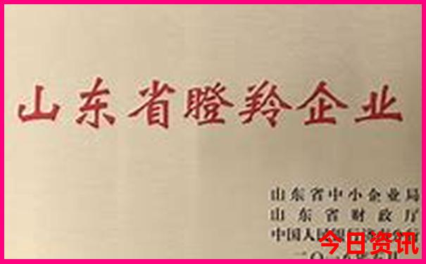 暑期适合带孩子去旅游的地方